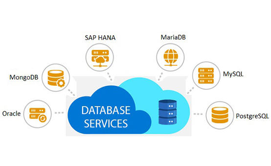 database Services